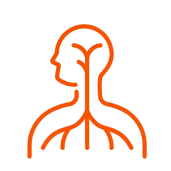 2 Impact of MS on the Central Nervous System