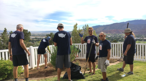 Yard Work