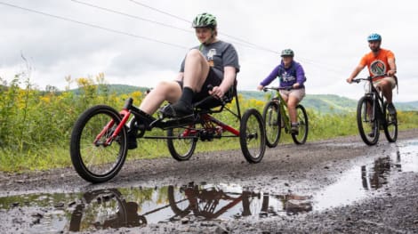 Adaptive Cycles