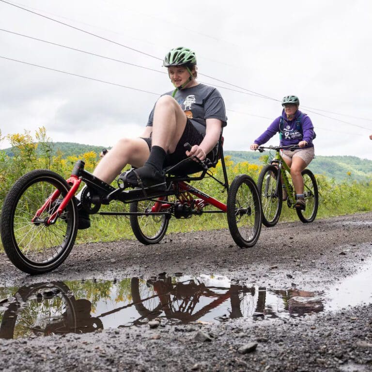 Adaptive Cycles