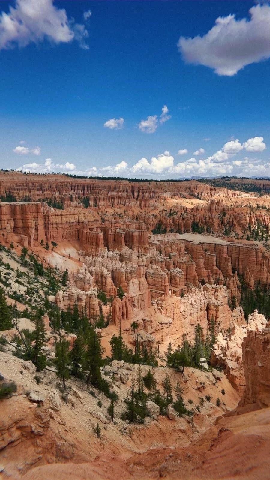 Trans America Landscape